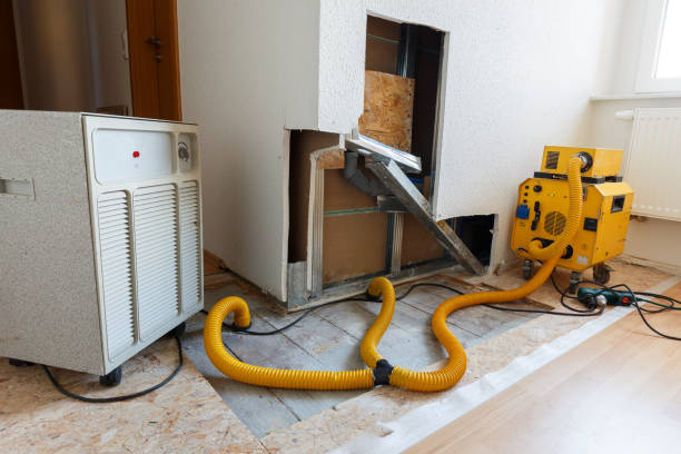 Best Attic Mold Removal  in Oakwood, IL